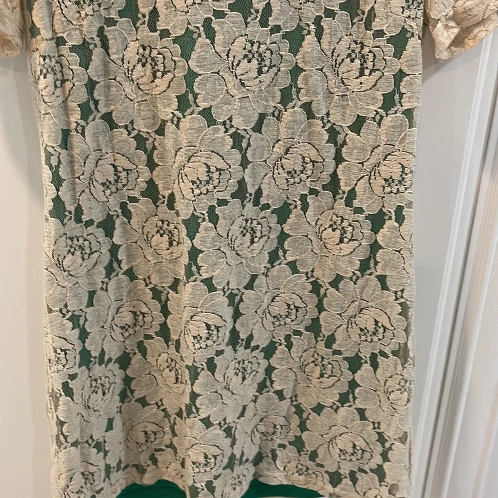 Francesca’s Collection Birdcage Stretch Lace Shift Dress Large Beige Gre… - Picture 3 of 14